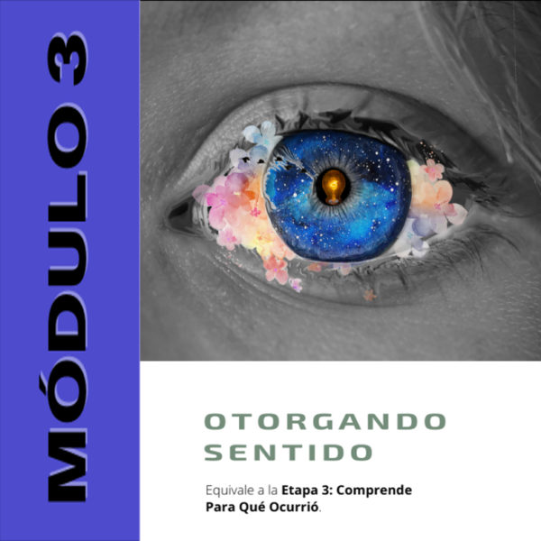 supera tu maltrato infantil - compra módulo 3 Ama tu Trauma - otorgando sentido - significado para qué