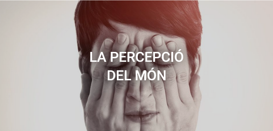 maltractament a la infància - percepció del món, acceptació, comprensió, consciència, dolor, interpretació, negació, punt de vista, realitat, rebuig, reconeixement, sanació, teràpia, validació, veritat